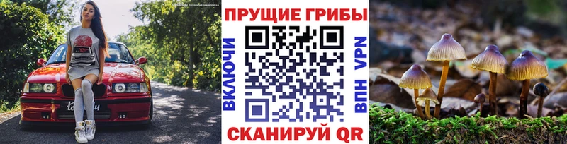 Галлюциногенные грибы MAGIC MUSHROOMS  Кирсанов 