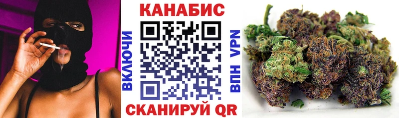 Бошки марихуана индика  Кирсанов 